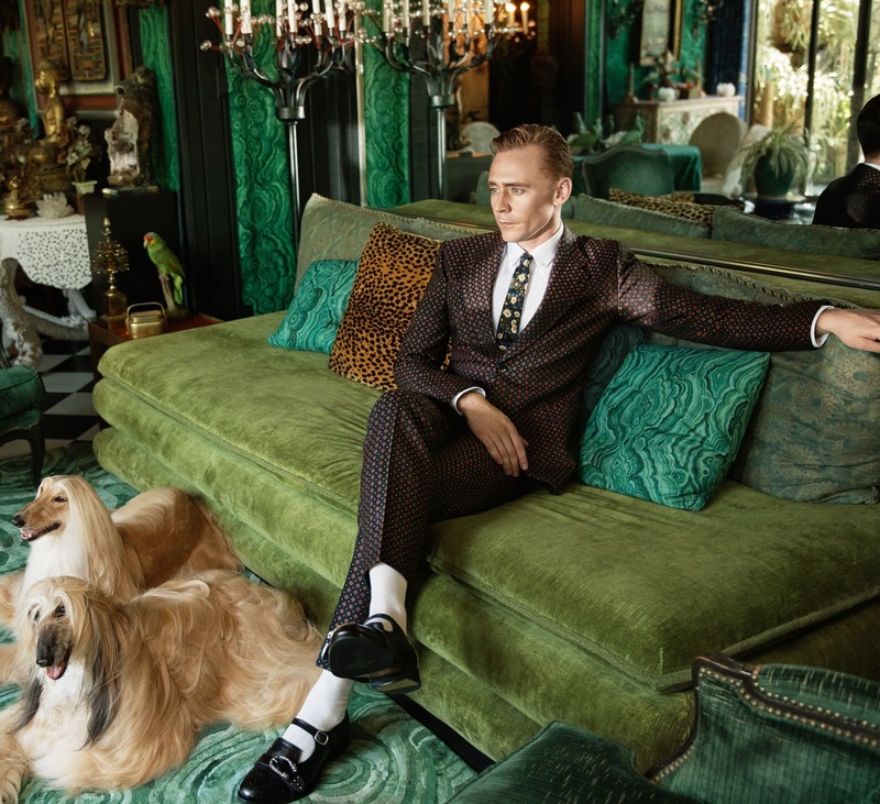 Gucci 2017早春男士西裝廣告形象由英國男神 Tom Hiddleston演繹。